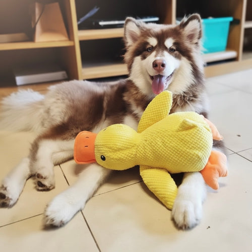 CozyQuack™ Emotional Support Duck for Dogs